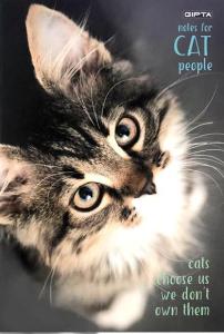 GIPTA CAT SP. KARTON KPK DEFTER  17x24 60 yp Kareli