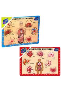 ONYIL PLAYWOOD AHŞAP TUTMALI VÜCUDUMUZU TANIYALIM