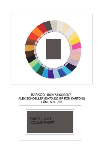ALEX 220 gr 50x70 İTHAL FON KARTONU - FÜME