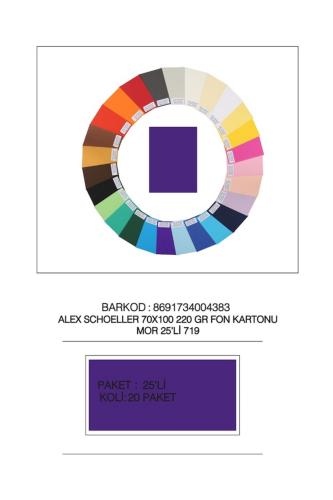 ALEX ARTİSTİK 220 gr 70x100 İTHAL FON KARTONU MOR