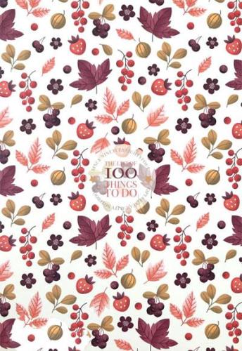 GIPTA 100 THINGS TEL DKŞ. KRT. KPK.DEFTER A4 80YP Kareli