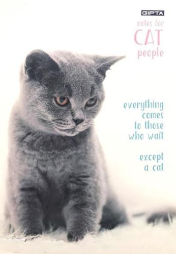 GIPTA CAT SP. KARTON KPK DEFTER 17x24 60 yp Kareli