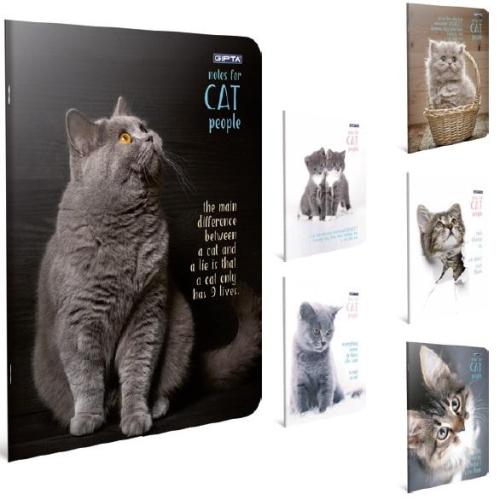 GIPTA CAT SP. KARTON KPK DEFTER 17x24 60 yp Kareli