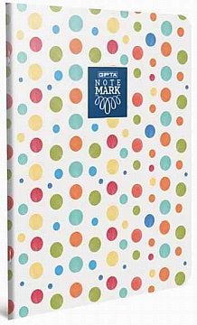 GIPTA MİCA A4 80 yp. PP. KAPAK DEFTER Çizgili